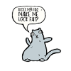Fat Cat Obesity
