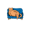 Fat Cat Obesity