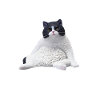 Fat Cat Obesity