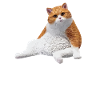 Fat Cat Obesity