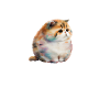 Fat Cat Obesity