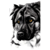 Black and White Dog Sketch