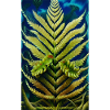 Fern Leaf