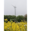 Windkraftanlage im Rapsfeld