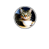 Katze Katzen Kaffee