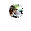 Katze Katzen Kaffee