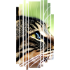 Cat Cats