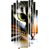 Cat Cats