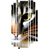 Cat Cats
