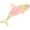 Rainbow Orca