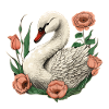 Swan