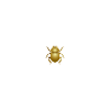 Egypt scarab hyroglyphs pyramid Egyptians