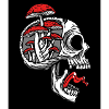 Skullrooms brain