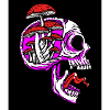 Skullroomsbrain