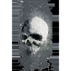 skull bug