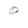 Food Safety Inspector