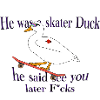 Sk8ter Duck!