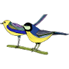 Birds