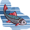 Fisch