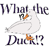 What the Duck!?