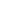 Anti-Zoo No Sight Lion