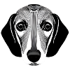 Dachshund Portrait