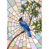 Steller's Jay in Glass
