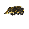 Kawaii striped tenrecs