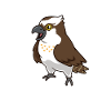 Kawaii Osprey