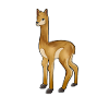Kawaii Vicuña