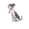 Kawaii Whippet