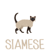 Siamese Cat Gifts