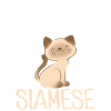 Siamesische Katze Geschenke