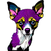 Happy dog. Happy dogs. Chihuahua!