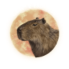 Capybara Lune