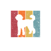 Labradoodle