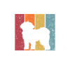 Schnoodle