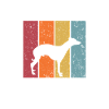 Whippet