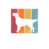 Flat Coated Retriever