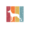 Xoloitzcuintle