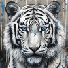 WHITE TIGER STREET ART