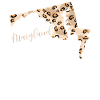 Maryland Leopard Pattern Card Leo