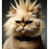 Perserkatze Negan als Punk