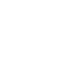 Chonk Cat Obesity