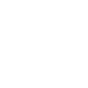 Chonk Cat Obesity
