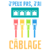 Câblage réseau informatique