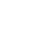 Chonk Cat Obesity