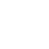 Chonk Cat Obesity