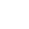 Chonk Cat Obesity