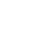 Chonk Cat Obesity